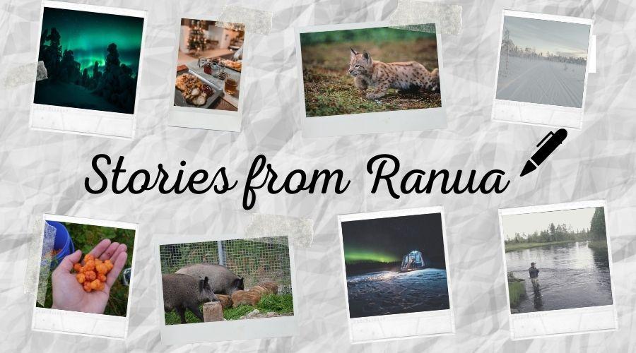 Stories from Ranua Finnish travel blog's banner