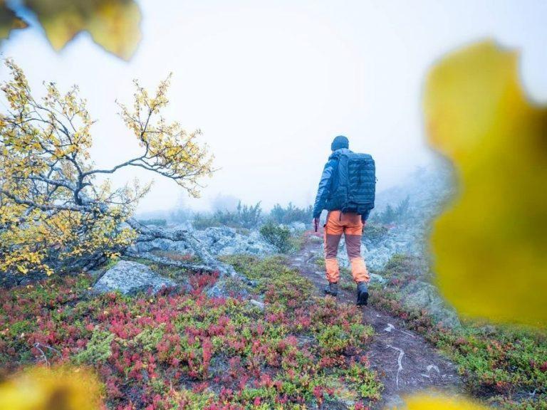Fall foliage and hiking in Finnish Lapland in autumn