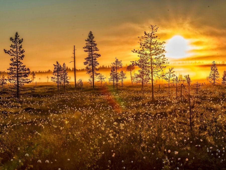 Autumn In Lapland 5 Things To Do In Finnish Fall