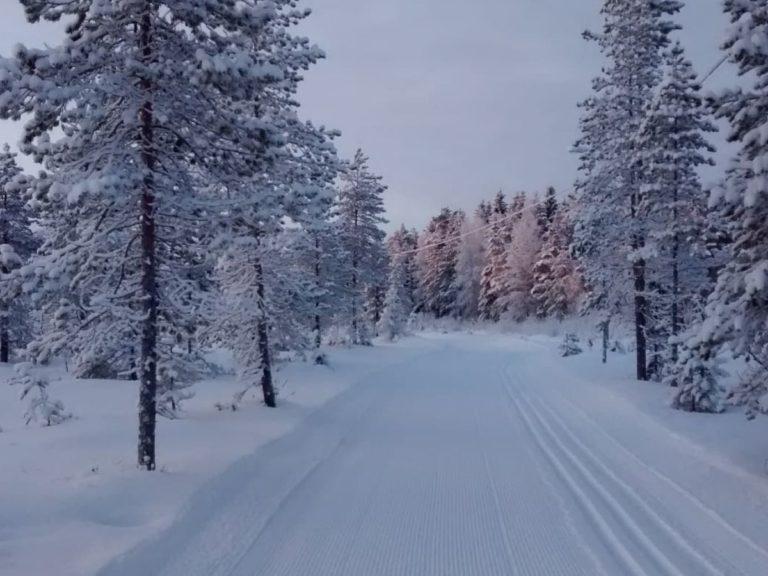 Cross-country skiing trail in Finland