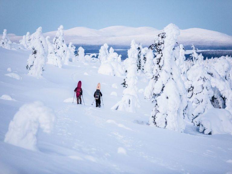 Snowshoeing in Finnish Lapland