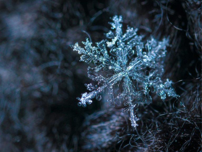 Snowflakes can form all kinds of shapes