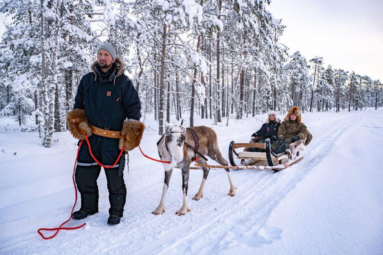 Reindeer sleigh ride