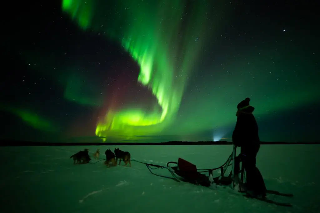 Aurora hunting with huskies